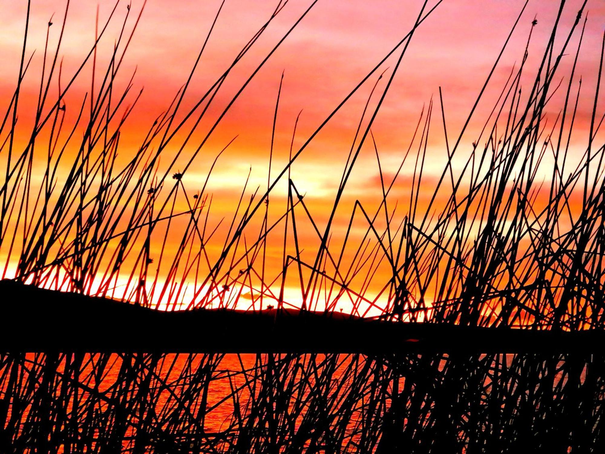 Uros Waliski Lodge Puno Szoba fotó