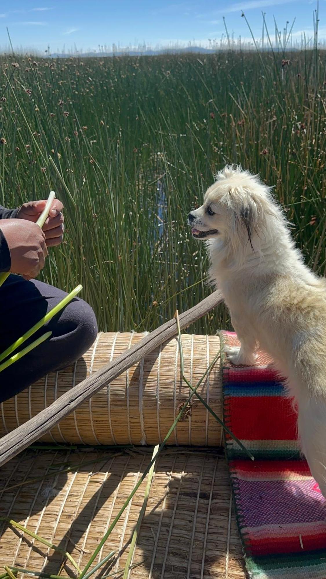 Uros Waliski Lodge Puno Kültér fotó